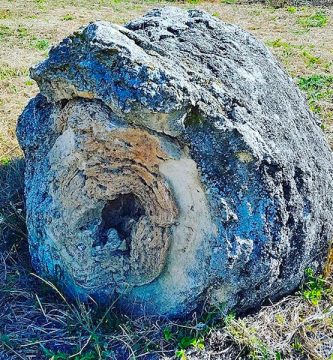 Bosque Petrificado de Martis