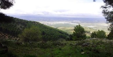 Parques La Sierra y Santa Catalina