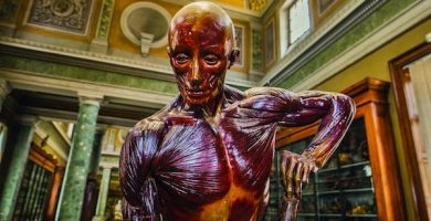 Museo Conservatorio de Anatomia