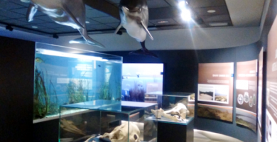 Museo Aula del Mar