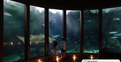 aquarium finisterrae coruna