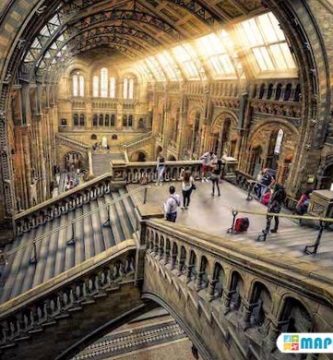 Museo de Historia Natural londres