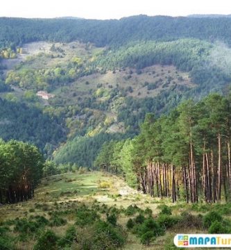 parque sierra cebollera