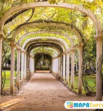 rio de janeiro jardin botanico