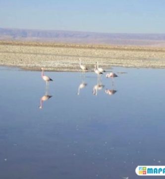 salar de atacama