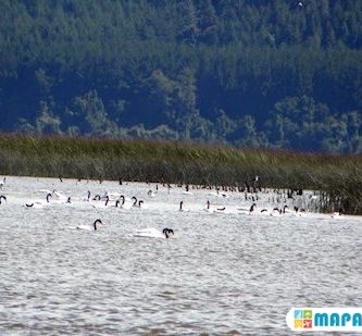 santuario de la naturaleza