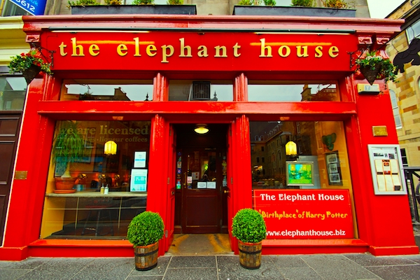 the elephant house 